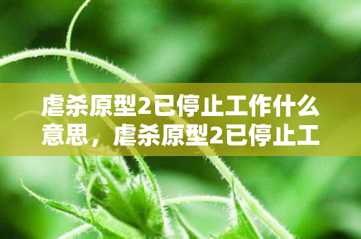 虐杀原型2已停止工作什么意思,虐杀原型2已停止工作,深度解析游戏停止运行的背后原因 虐杀原型2已停止工作什么意思,虐杀原型2已停止工作,深度解析游戏停止运行的背后原因