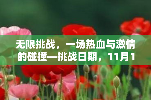 无限挑战,一场热血与激情的碰撞—挑战日期,11月10日 无限挑战,一场热血与激情的碰撞—挑战日期,11月10日