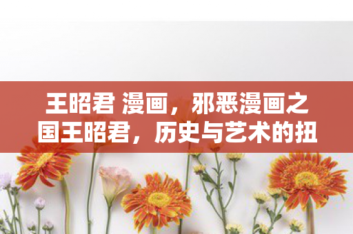 王昭君 漫画，邪恶漫画之国王昭君，历史与艺术的扭曲镜像