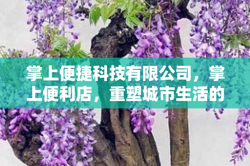 掌上便捷科技有限公司，掌上便利店，重塑城市生活的便捷购物体验