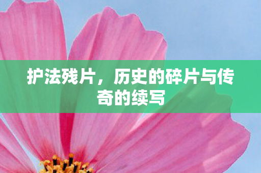 护法残片,历史的碎片与传奇的续写 护法残片,历史的碎片与传奇的续写