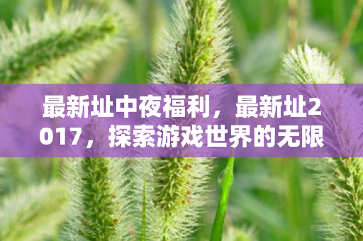 最新址中夜福利，最新址2017，探索游戏世界的无限可能