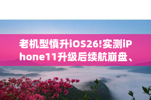 老机型慎升iOS26!实测iPhone11升级后续航崩盘、性,老机lsj95,经典游戏的怀旧之旅 老机型慎升iOS26!实测iPhone11升级后续航崩盘、性,老机lsj95,经典游戏的怀旧之旅