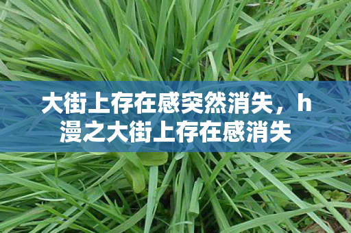 大街上存在感突然消失,h漫之大街上存在感消失 大街上存在感突然消失,h漫之大街上存在感消失
