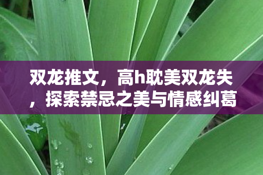 双龙推文，高h耽美双龙失，探索禁忌之美与情感纠葛的边界