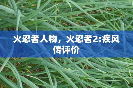 火忍者人物,火忍者2:疾风传评价 火忍者人物,火忍者2:疾风传评价