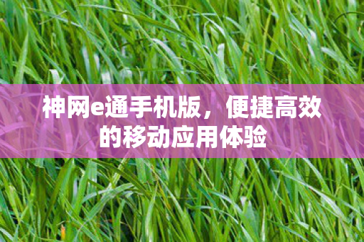 神网e通手机版，便捷高效的移动应用体验