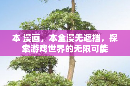 本 漫画，本全漫无遮挡，探索游戏世界的无限可能