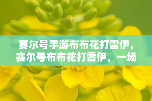 赛尔号手游布布花打雷伊，赛尔号布布花打雷伊，一场跨越时空的勇者之战