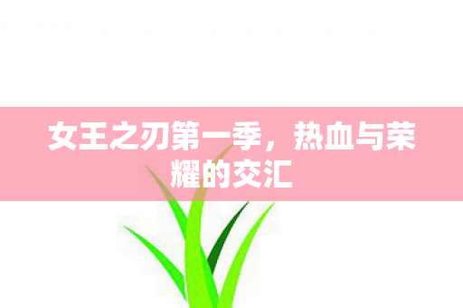 女王之刃第一季,热血与荣耀的交汇 女王之刃第一季,热血与荣耀的交汇