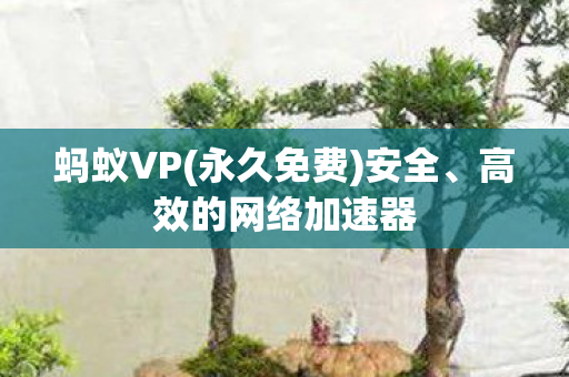 蚂蚁VP(永久免费)安全、高效的网络加速器 蚂蚁VP(永久免费)安全、高效的网络加速器
