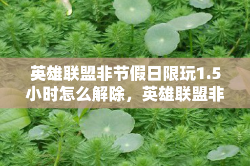 英雄联盟非节假日限玩1.5小时怎么解除，英雄联盟非节假限玩1.5小时，青少年健康游戏新举措