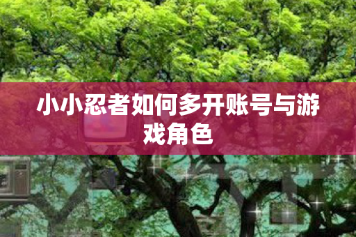 小小忍者如何多开账号与游戏角色 小小忍者如何多开账号与游戏角色
