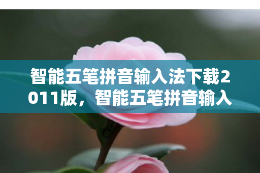 智能五笔拼音输入法下载2011版，智能五笔拼音输入法下载2011，高效便捷，打造个性化输入体验