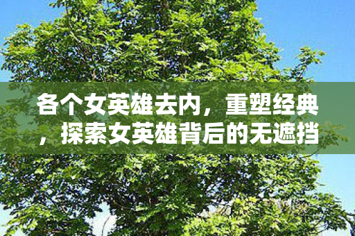 各个女英雄去内，重塑经典，探索女英雄背后的无遮挡艺术