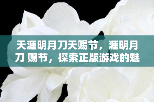 天涯明月刀天赐节，涯明月刀 赐节，探索正版游戏的魅力与深度