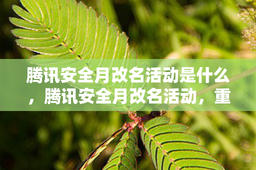 腾讯安全月改名活动是什么,腾讯安全月改名活动,重塑数字身份,共筑安全防线 腾讯安全月改名活动是什么,腾讯安全月改名活动,重塑数字身份,共筑安全防线