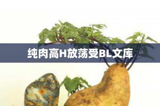 纯肉高H放荡受BL文库
