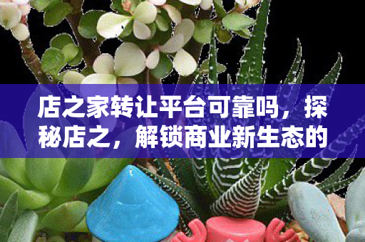 店之家转让平台可靠吗，探秘店之，解锁商业新生态的奥秘