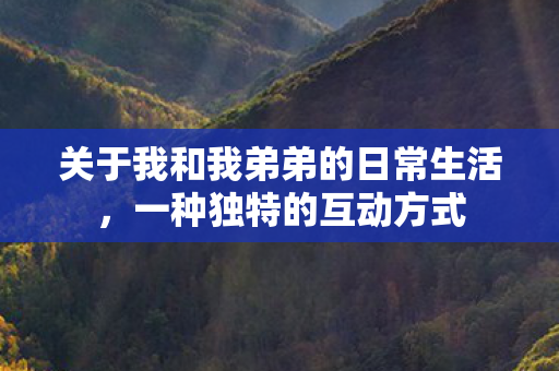 关于我和我弟弟的日常生活,一种独特的互动方式 关于我和我弟弟的日常生活,一种独特的互动方式