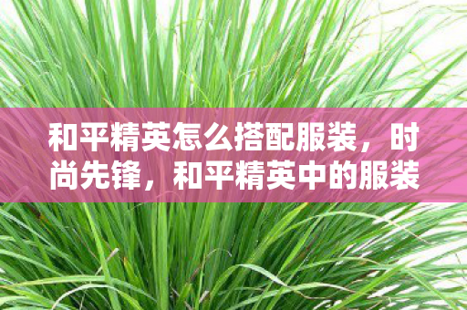 和平精英怎么搭配服装，时尚先锋，和平精英中的服装搭配艺术