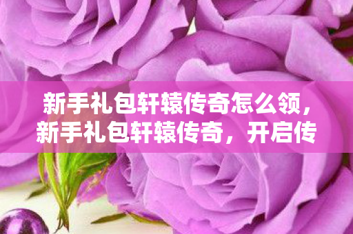 新手礼包轩辕传奇怎么领,新手礼包轩辕传奇,开启传奇之旅的钥匙 新手礼包轩辕传奇怎么领,新手礼包轩辕传奇,开启传奇之旅的钥匙
