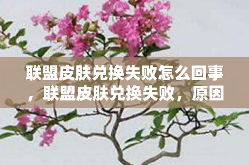 联盟皮肤兑换失败怎么回事，联盟皮肤兑换失败，原因与解决策略