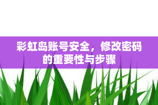 彩虹岛账号安全,修改密码的重要性与步骤 彩虹岛账号安全,修改密码的重要性与步骤