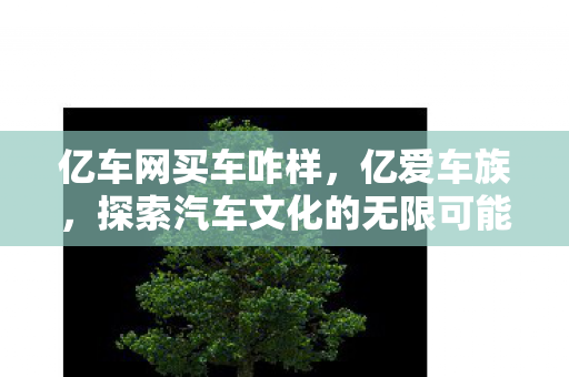 亿车网买车咋样,亿爱车族,探索汽车文化的无限可能 亿车网买车咋样,亿爱车族,探索汽车文化的无限可能