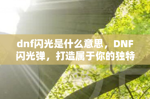 dnf闪光是什么意思，DNF闪光弹，打造属于你的独特游戏体验