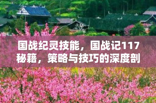 国战纪灵技能，国战记117秘籍，策略与技巧的深度剖析