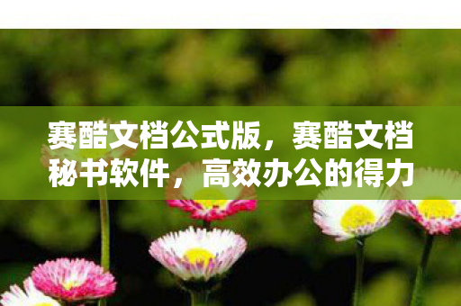 赛酷文档公式版,赛酷文档秘书软件,高效办公的得力助手 赛酷文档公式版,赛酷文档秘书软件,高效办公的得力助手