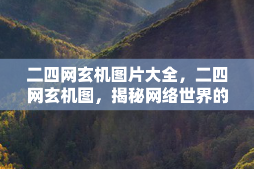 二四网玄机图片大全，二四网玄机图，揭秘网络世界的神秘符号