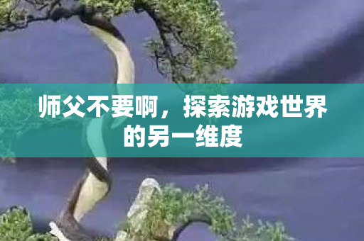 师父不要啊，探索游戏世界的另一维度