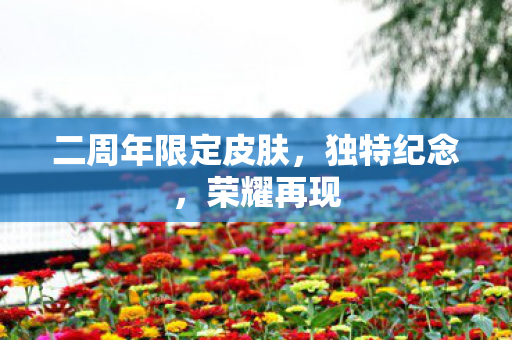 二周年限定皮肤,独特纪念,荣耀再现 二周年限定皮肤,独特纪念,荣耀再现