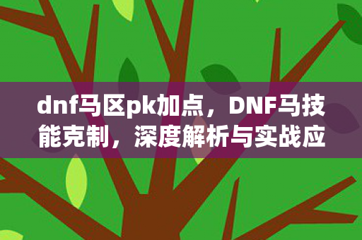 dnf马区pk加点，DNF马技能克制，深度解析与实战应用