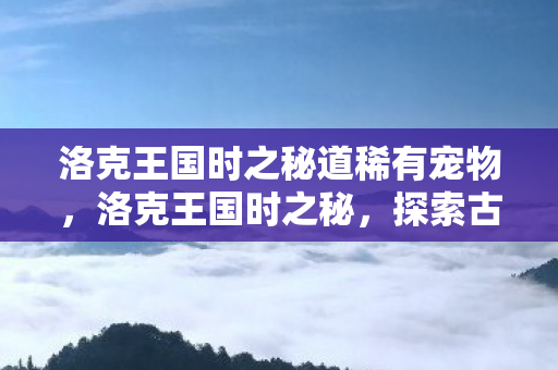 洛克王国时之秘道稀有宠物，洛克王国时之秘，探索古老王国的时空之旅