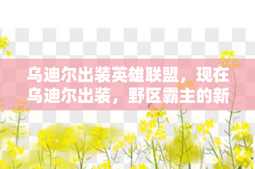乌迪尔出装英雄联盟，现在乌迪尔出装，野区霸主的新装备搭配
