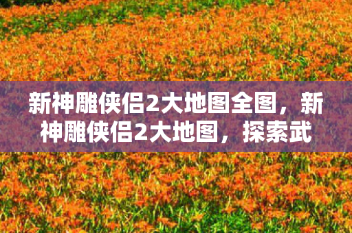 新神雕侠侣2大地图全图,新神雕侠侣2大地图,探索武侠世界的奇幻之旅 新神雕侠侣2大地图全图,新神雕侠侣2大地图,探索武侠世界的奇幻之旅