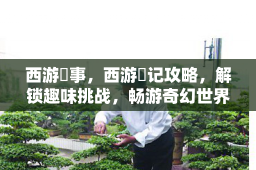西游囧事,西游囧记攻略,解锁趣味挑战,畅游奇幻世界 西游囧事,西游囧记攻略,解锁趣味挑战,畅游奇幻世界