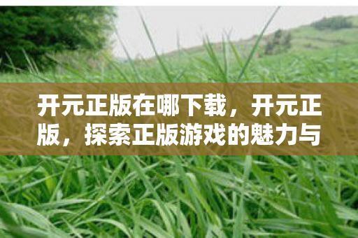 开元正版在哪下载,开元正版,探索正版游戏的魅力与未来 开元正版在哪下载,开元正版,探索正版游戏的魅力与未来
