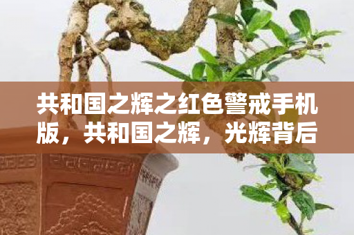 共和国之辉之红色警戒手机版，共和国之辉，光辉背后的探索与启示
