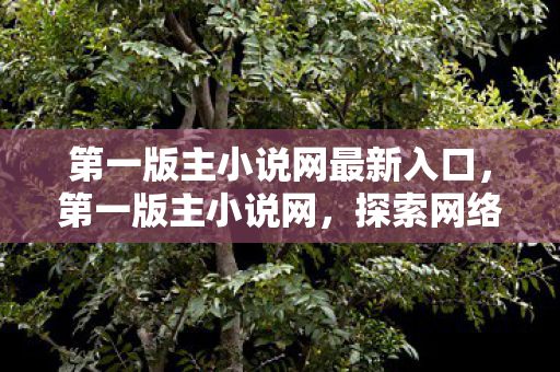 第一版主小说网最新入口，第一版主小说网，探索网络文学的奇妙之旅