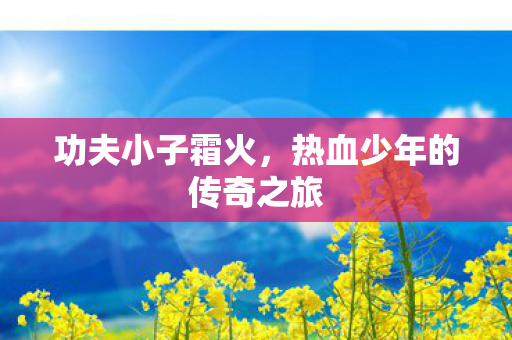 功夫小子霜火，热血少年的传奇之旅
