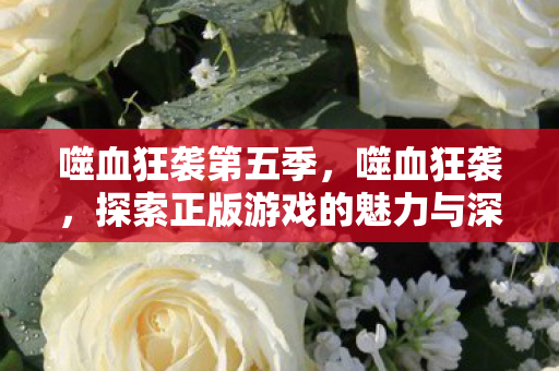 噬血狂袭第五季，噬血狂袭，探索正版游戏的魅力与深度