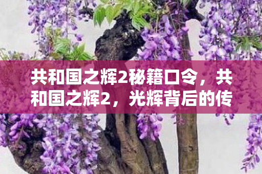 共和国之辉2秘籍口令,共和国之辉2,光辉背后的传奇故事 共和国之辉2秘籍口令,共和国之辉2,光辉背后的传奇故事