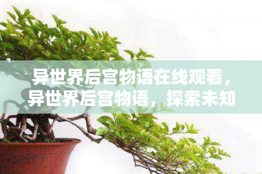 异世界后宫物语在线观看,异世界后宫物语,探索未知世界的浪漫之旅 异世界后宫物语在线观看,异世界后宫物语,探索未知世界的浪漫之旅