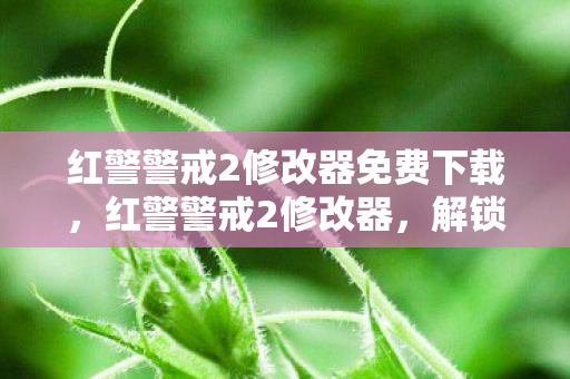 红警警戒2修改器免费下载，红警警戒2修改器，解锁无限可能的策略游戏新体验