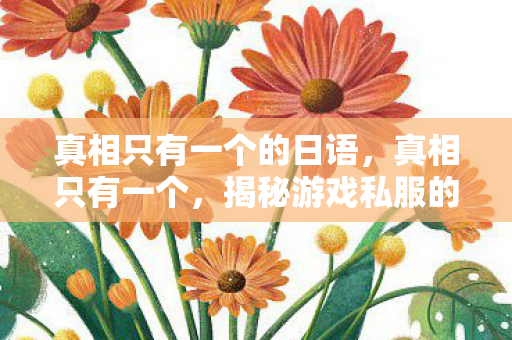 真相只有一个的日语,真相只有一个,揭秘游戏私服的灰色运营与玩家风险 真相只有一个的日语,真相只有一个,揭秘游戏私服的灰色运营与玩家风险