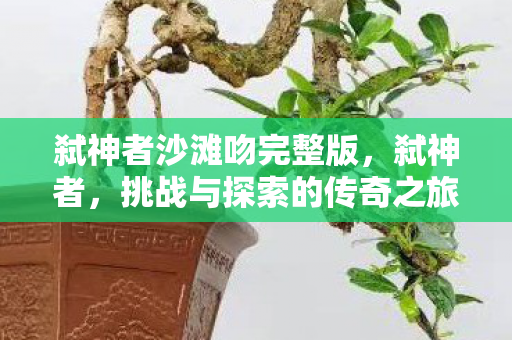 弑神者沙滩吻完整版，弑神者，挑战与探索的传奇之旅